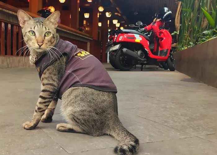 ホテル シーハウス バリ インダー ビーチ
